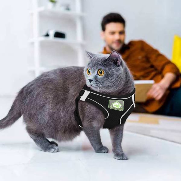 Kattsele och koppelset för promenader och flykt med koppel, justerbar reflex