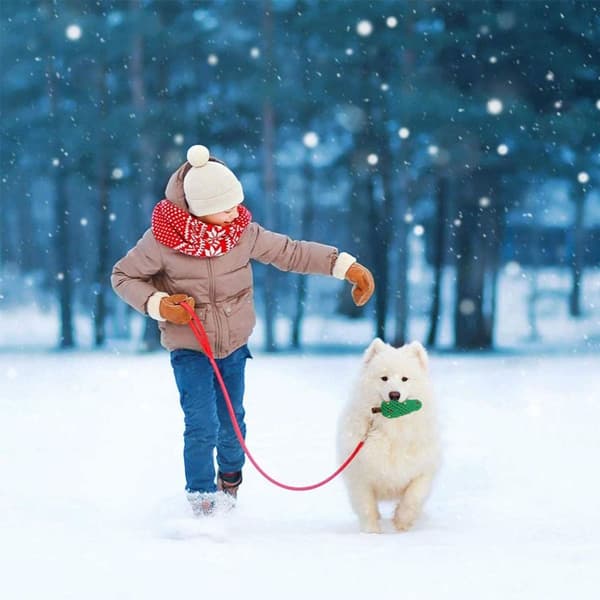 Jul leksak, jul hund rep leksak present KLB