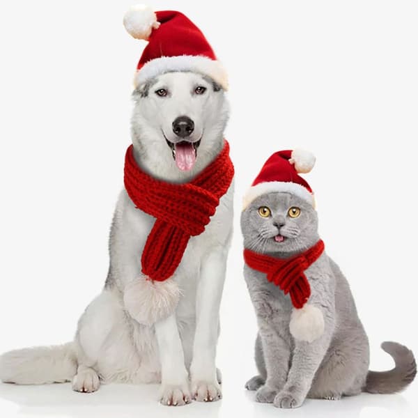 Julehat, Halstørklæde og Dragt til Kæledyr, Katte og Hunde, M, Festlig
