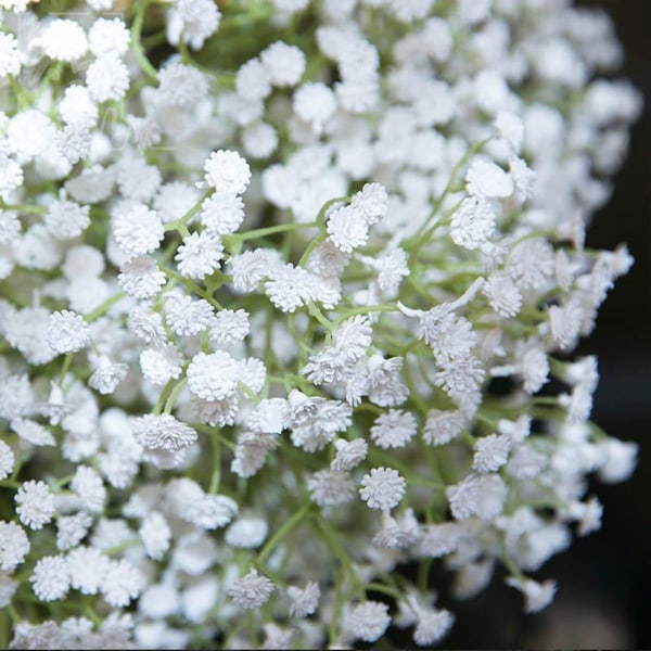 10 stk. Latex Kunstig Gypsophila Paniculata Blomst Til Hjem Bryllup KLB