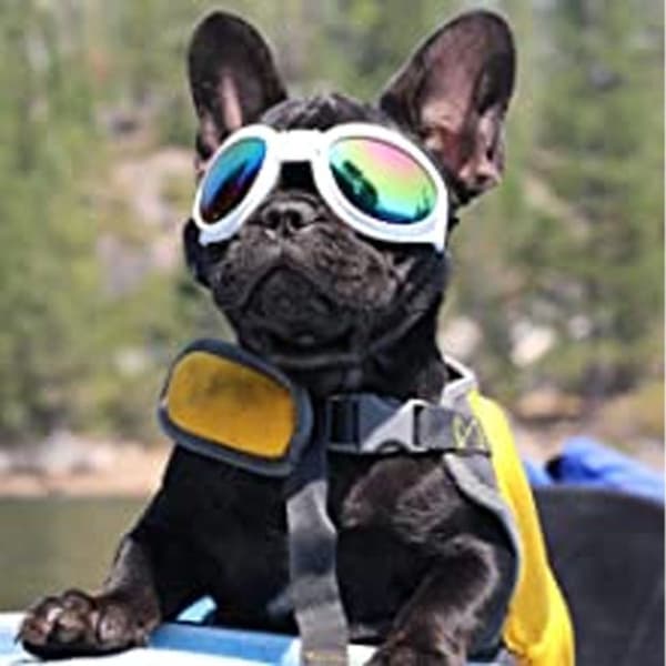 Hunde Goggles Øyebeskyttelse Vanntett Kjæledyr Solbriller Hvit KLB