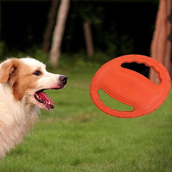 Frisbee og kastepinde, mellemstore og store hunde orange KLB