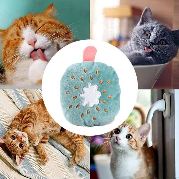 6 st kattmynta kattleksaker katt tuggleksaker tand rengöring Style6 KLB