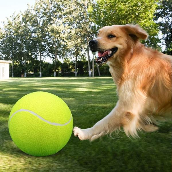 Tennisbolde 3 stk. tennisbolde perfekte til træning I