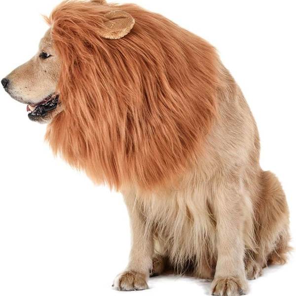 Lejonman Peruk Hundkläder Justerbara Öron Cosplay KLB