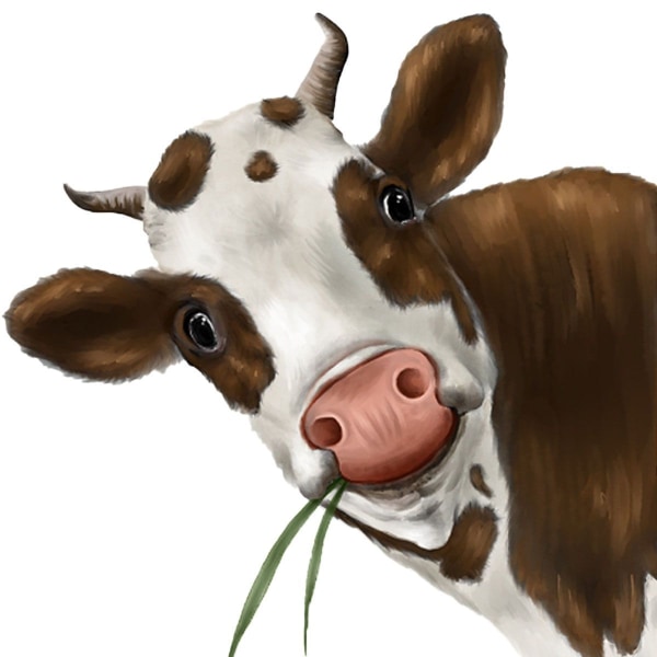 Roliga Cow Wall Stickers, Window Stickers, Realistic Peeking Cow Print Stickers KLB