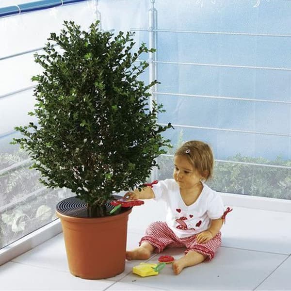 Blomsterpotgitter - blomsterbeskyttelse