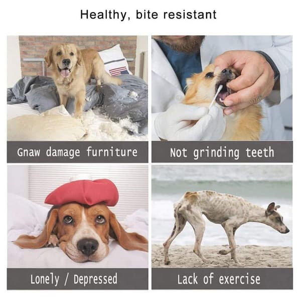 Hunde Frisbee Gummi Frisbee Intelligens Legetøj Sort KLB