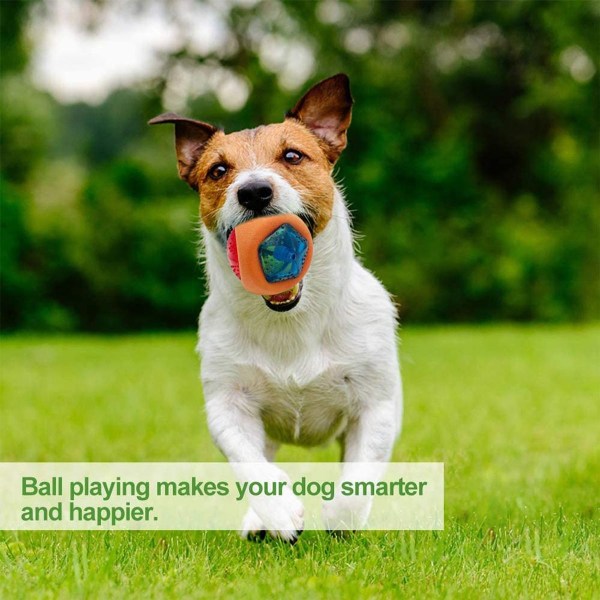 Hundleksaksboll med LED-ljus och pip, hundboll orange KLB