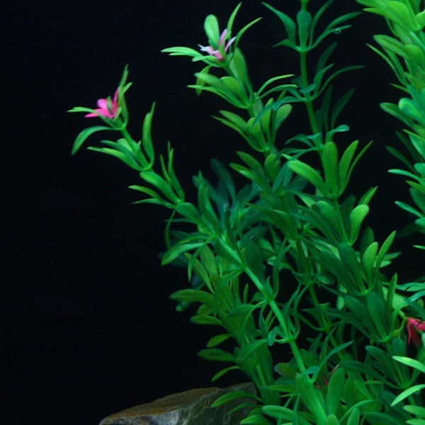 Kunstig Akvarieplante Kunstig Vandplante Plast Akvarium KLB