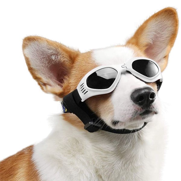 Hundesolbriller, justerbar rem til UV-solbriller, vandtæt
