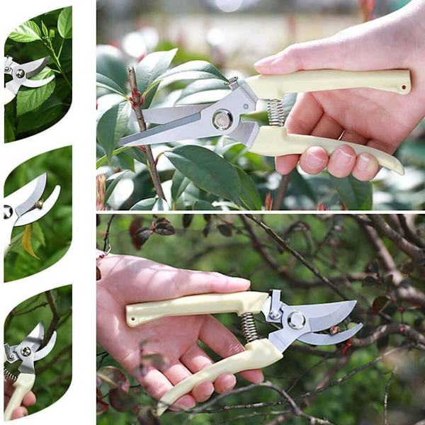 Beskärningssax Set - 2-pack, 1 beskärningssax + 1 rak