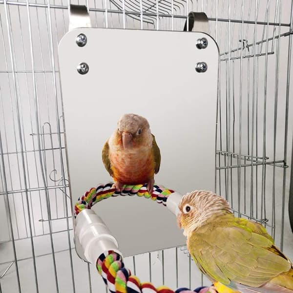 Rustfrit stålfuglestand, papegøjesvingburlegetøj fuglebomuldsrebholder til Amazon grå papegøje Conure