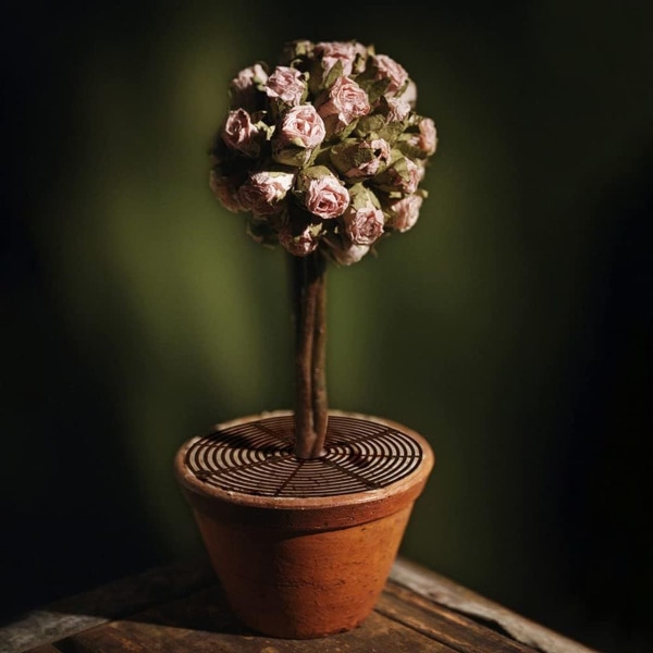 Blomkruke galler - blomsterskydd