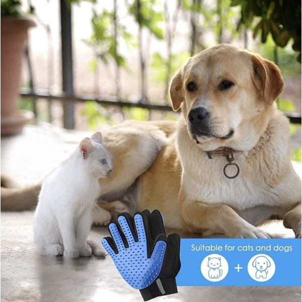 Kjæledyrbørste, design med fem fingre for og stell av hundekatten din