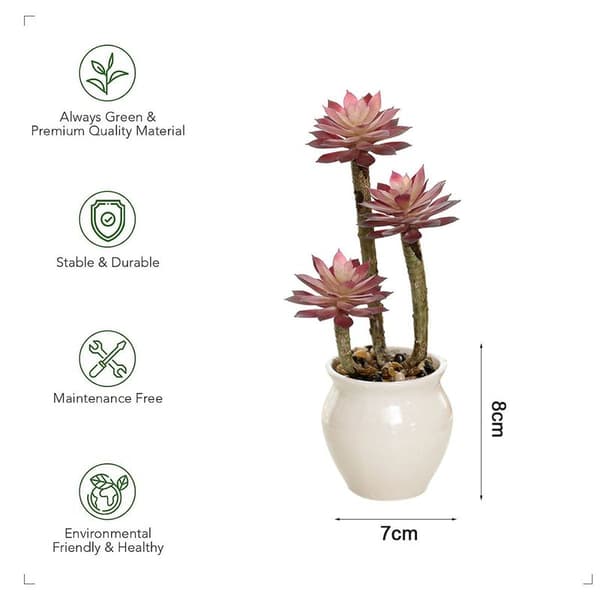 Pakke med 2 simulerte sukkulenter bonsai kunstige sukkulenter