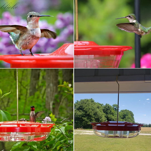 Muovista valmistettu ripustettava lintujen ruokinta-asema, linnunruokinta-asema, kolibrin linnunpönttö KLB