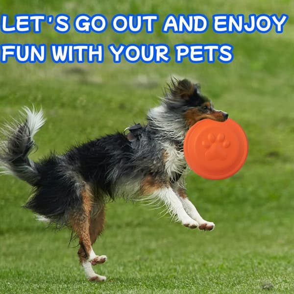 Hundeflyvende disk, højtflyvende aerodynamisk disk til hunde, orange KLB