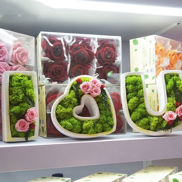 Preservert mose - naturlig, langvarig DIY-kunst