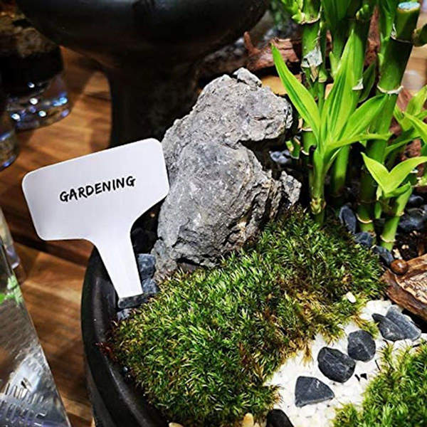 Kinglake 100 st mini T-formade plastväxtpluggsetiketter