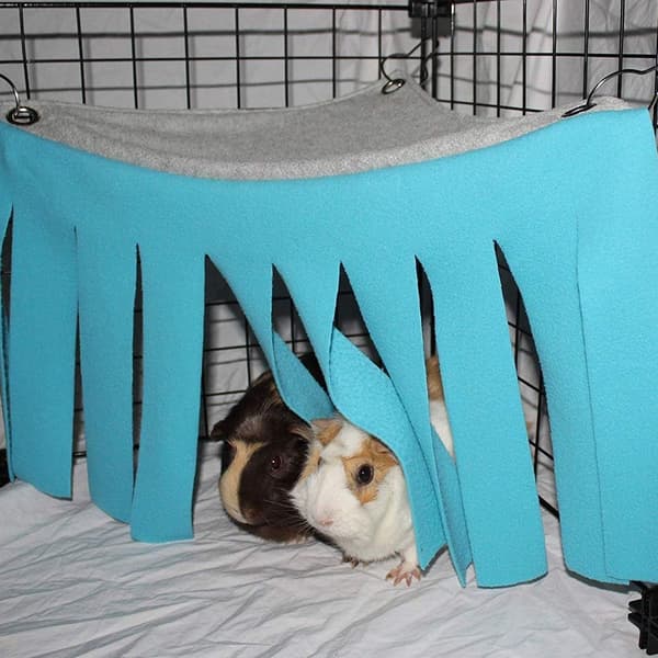Marsvin gjemmested hengekøye lite dyr telt, den lille KLB