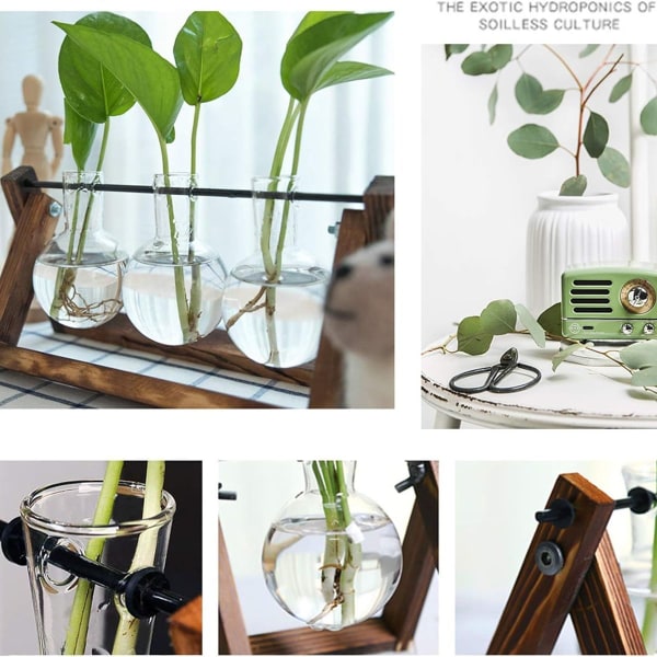 Plante med trestativ, luftplanter, lyspære, glassvase, metall