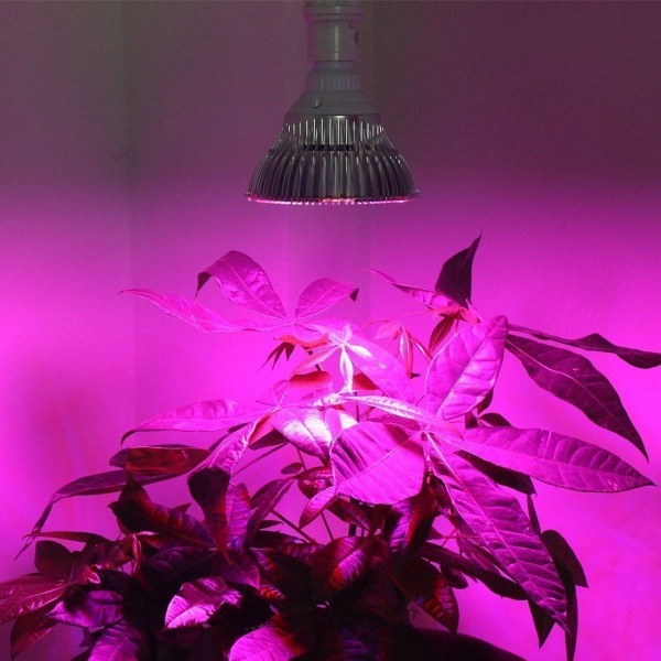 LED plantelampe E27 18W, fuldt spektrum til have- og stueplanter KLB