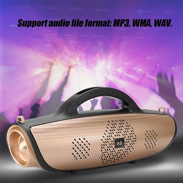 Wisenovo Bärbar Multifunktionell Bluetooth Musikhögtalare KLB