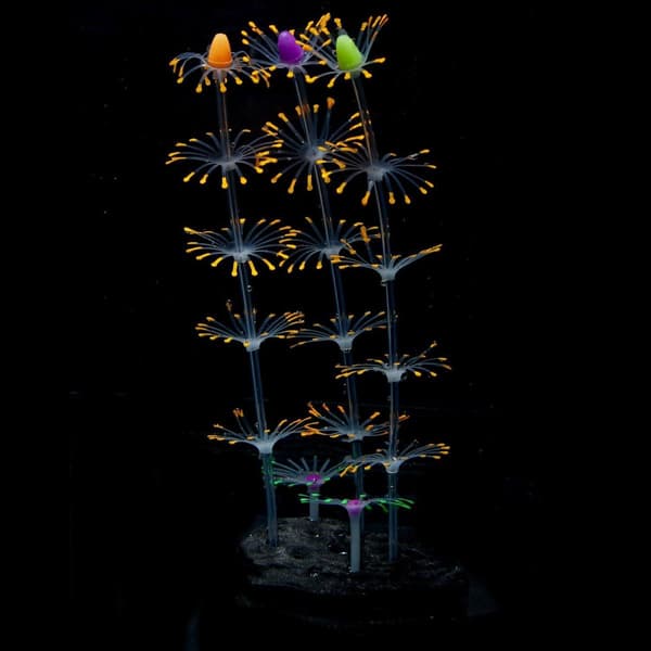 Strip Coral Plant Ornament Glowing Effect Silicone Orange KLB