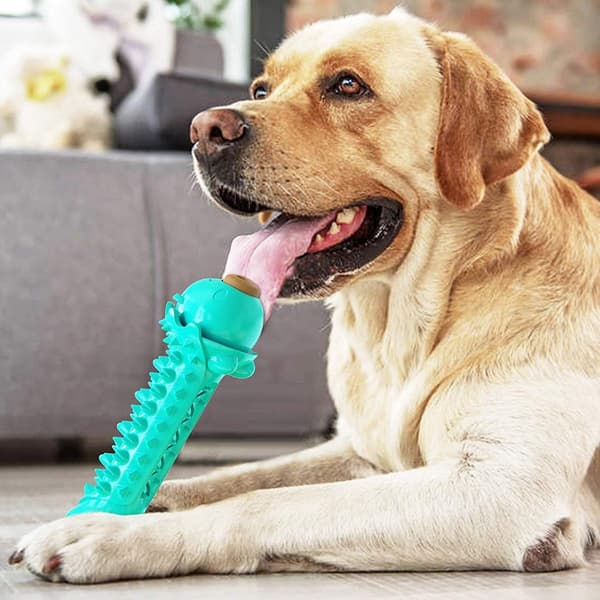 Hunde legetøj til store og små hunde Blå KLB