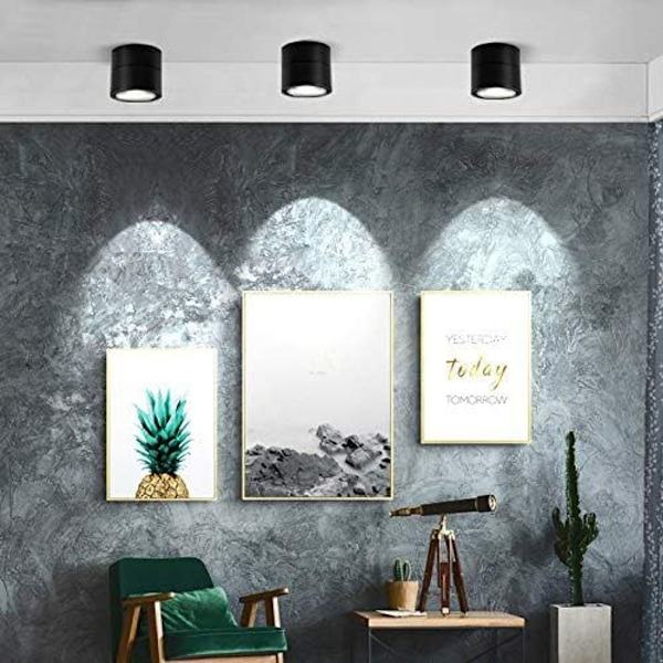 10W loftslampe, justerbar lampehus, indendørs brug, sort + kølig hvid