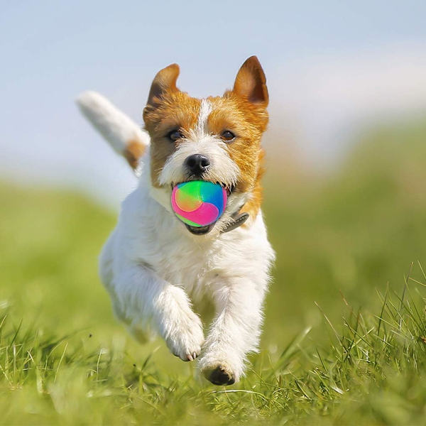 4 Ball Leketoy for Hund og Katt, Lysende Hundeballer, LED Hoppende Ball
