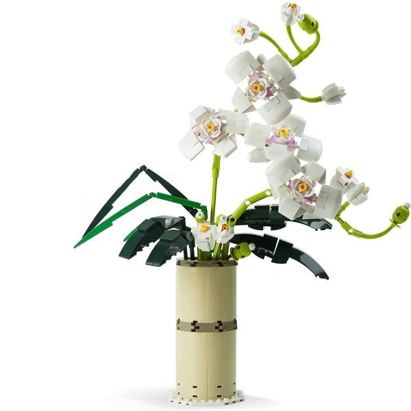Kukkakimppujen rakennuspalikat, ruukkukasvit Phalaenopsis Kit, ruukkukasvit Aikuinen kasvi KLB