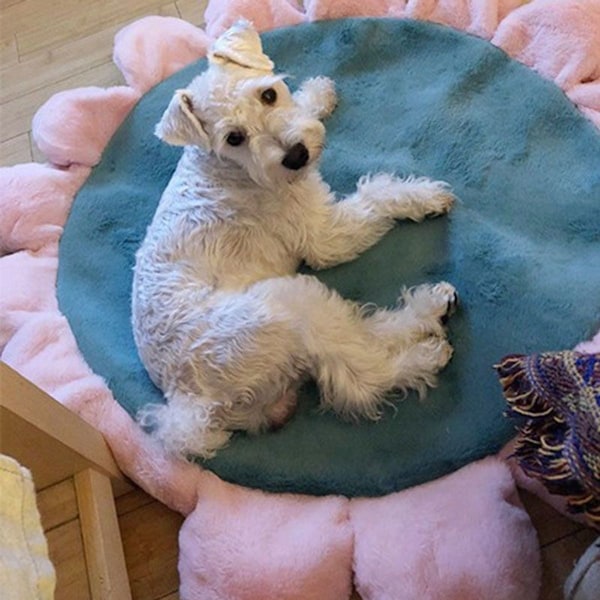 Blomsterformet kæledyrs seng rede hund hule hund sofa måtte grøn KLB
