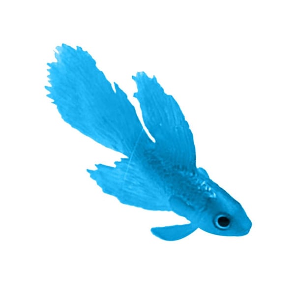 Kunstig fisk silikon fisk silikon gullfisk Betta Blå KLB