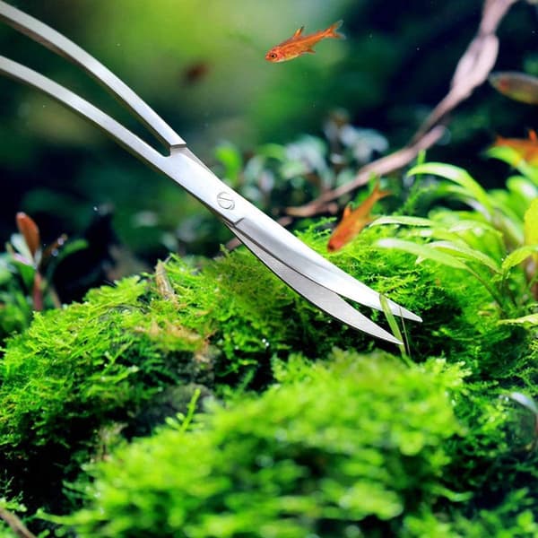 Akvarium Terrarium Saks Carboniseret Rustfrit Stål Sølv KLB