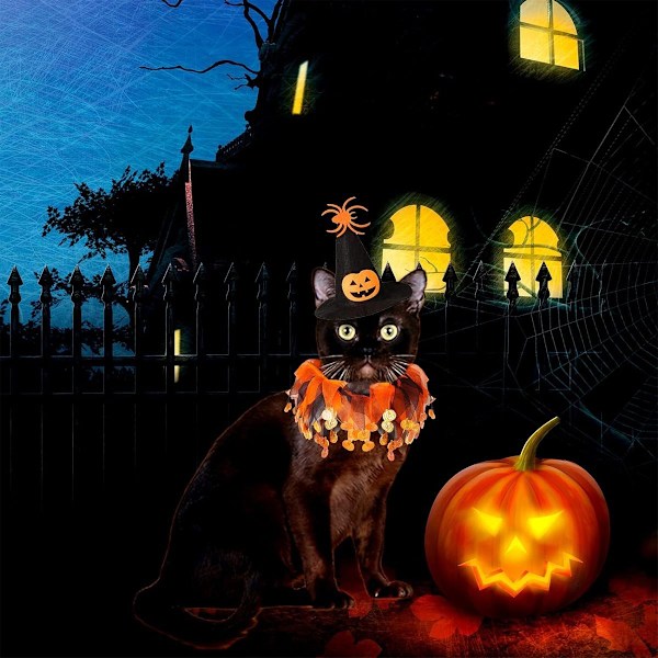 Katteheks Halloween Kostume Sæt, Hund Tutu Halsbånd og Hekse Græskar Hat til KLB