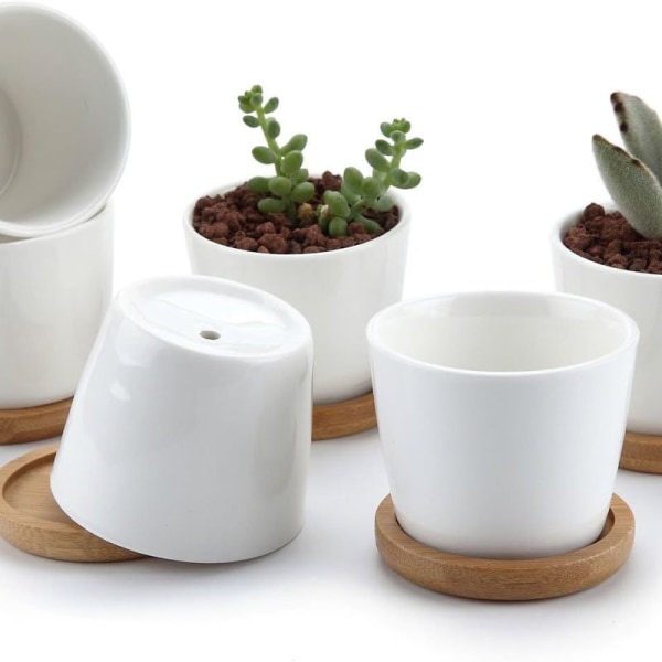 6,5 CM Krukor för Suckulenter Kaktus Växter Mini Blomkrukor Bas