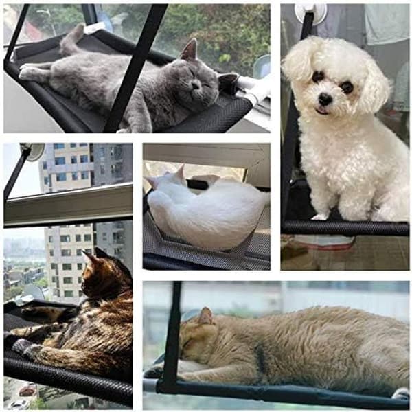 Katt vindusplass, kattehøyde forbedret KLB