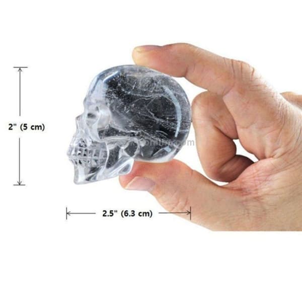 2017 Skull Ice Cube Tray Halloween Gave 4 Huller Ice Cube Tray