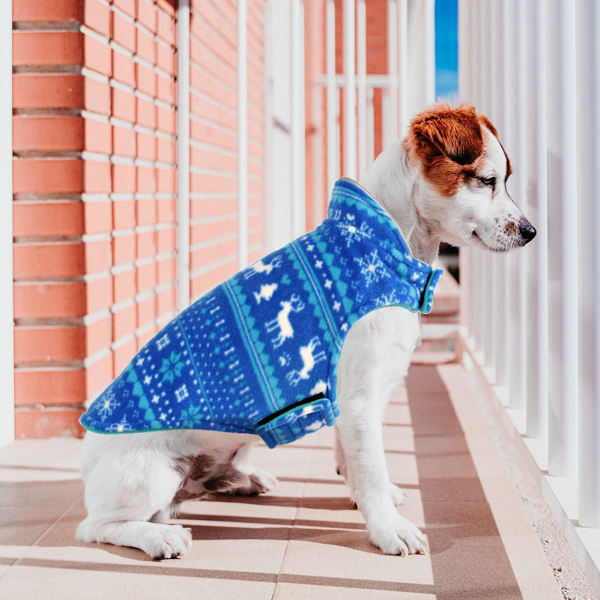 Klassisk julehundesweater til koldt vejr, størrelse S