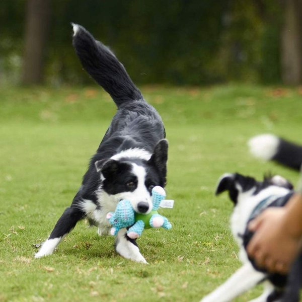 Pipig hund leksak, flodhäst hund leksak KLB