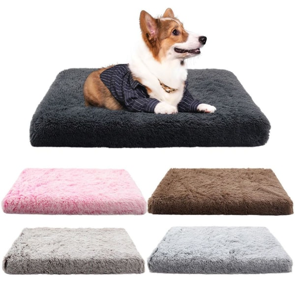 sSquare hundkoja, kattmatta, husdjurshus, djup sovande hund KLB