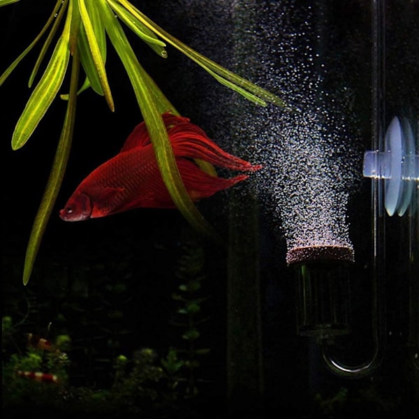 1 stycke Akvarium CO2 akryl CO2 mini förfinare coolno slim