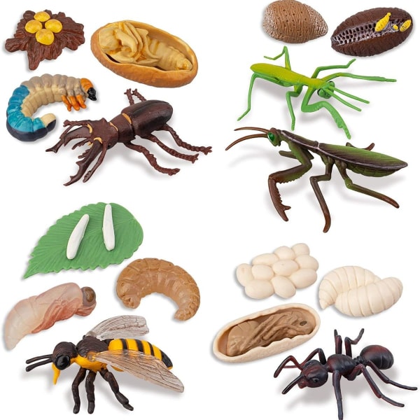 16 st insektsfigurer livscykel av hjortbagge, honungsbi, bönsyrsa KLB