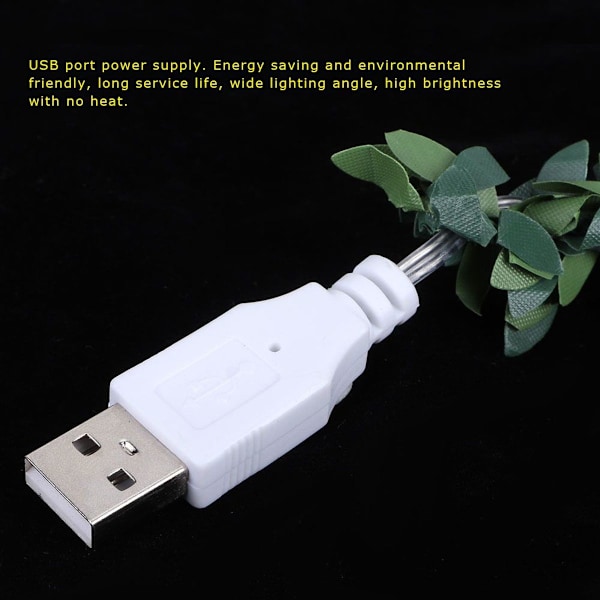 30 LED 3m/9,8ft USB-laddning rotting ljusslinga KLB