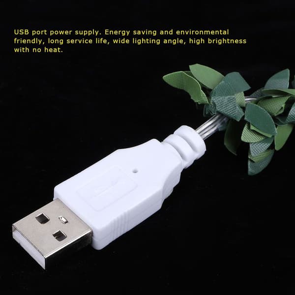 30 LED 3m/9.8ft USB-ladede rottinglyskjeder KLB
