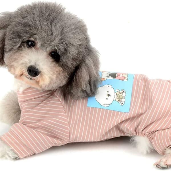 Hundpyjamas bomull randig för små hundar 4 ben tryckta valpar KLB