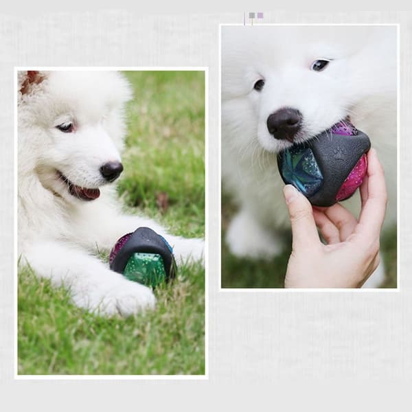 Hundelegetøjsbold med LED-lys og squeaker, hundebold hundebolde, KLB