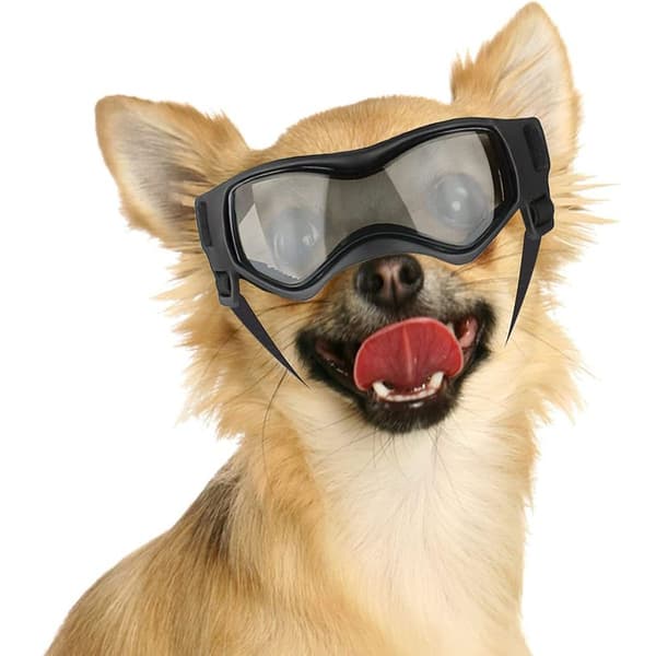 Solbriller for små hunder UV-beskyttelse hundebriller med justerbar